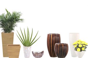 Bamboo—Natural-Abaca—Bianco—Shell-copy